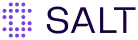 salt_security.png